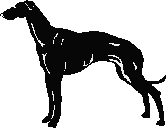 d2.gif (897 bytes)