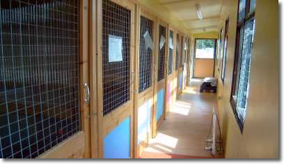 corridor of cattery.jpg (13310 bytes)