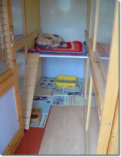 inside cattery pen.jpg (17255 bytes)